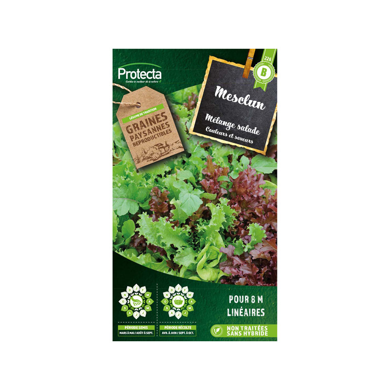 Mesclun salade en mélange - 4g de graines de Protecta - Produits dans Graines de Mesclun