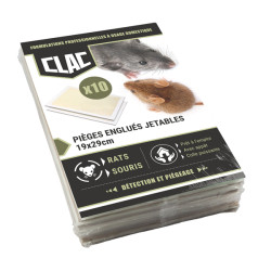 Piège rats-souris 10 plaques engluées 19 x 29cm de Protecta - Produits dans 🐁 Raticide / souricide