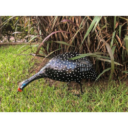 Pintade picore de Jardinerie Bordeaux Libourne Gironde dans Statue pour le jardin