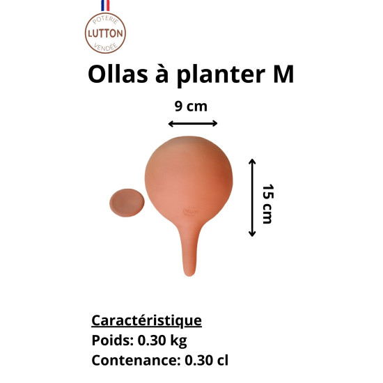 Ollas à planter blanc medium lutton de Poterie Lutton dans Arrosage ancestrale - Ollas