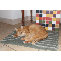 Tapis isolant arches 50x60cm de Zolux - Produit pour animaux dans Paniers et sacs pour chats