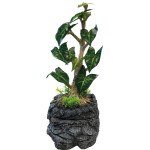 Arbre fontaine pour reptiles de Superfish - Aquadistri - accessoires pour aquarium et bassin dans Decoration terrarium