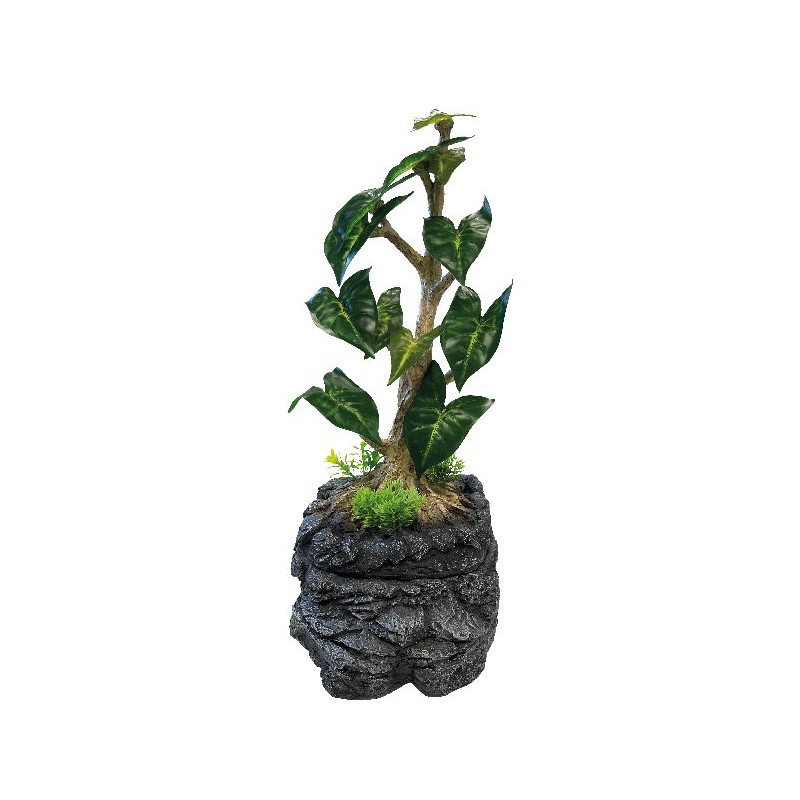 Arbre fontaine pour reptiles de Superfish - Aquadistri - accessoires pour aquarium et bassin dans Decoration terrarium