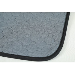 Tapis proprete lavable 60x40 s de Zolux - Produit pour animaux dans Soins et Hygiene pour chiens