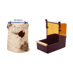 Accessoires pour perroquets de Jardinerie Bordeaux Libourne Gironde dans Nos conseils