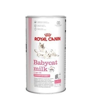 Babycat lait chat 300g de Royal Canin - Croquette chien et chat dans Royal Canin