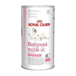 Babycat Lait Chat 300G Royal Canin de Royal Canin - Croquette chien et chat dans Croquettes Royal Canin pour chats