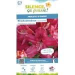 Rhododendron hybride Hugh Koster 65cm de Plantes Silence ça pousse dans Plantes à petits fruits (kiwi, myrtilles, groseilles,...
