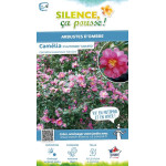 Camelia sasanqua Kanjiro 80cm Silence ca pousse de Plantes Silence ça pousse dans Plantes à petits fruits (kiwi, myrtilles, g...