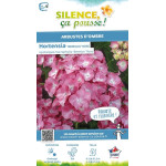 Hortensia Benelux rose 80cm Silence ca pousse de Plantes Silence ça pousse dans Plantes à petits fruits (kiwi, myrtilles, gro...