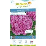 Hortensia Freudenstein 80cm Silence ca pousse de Plantes Silence ça pousse dans Plantes à petits fruits (kiwi, myrtilles, gro...