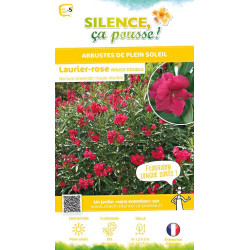 Laurier rose a fleurs rouges 100cm de Plantes Silence ça pousse dans Plantes à petits fruits (kiwi, myrtilles, groseilles, ca...