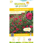 Laurier rose a fleurs rouges 100cm de Plantes Silence ça pousse dans Plantes à petits fruits (kiwi, myrtilles, groseilles, ca...