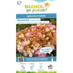 Hortensia SO LONG SUNNY 50cm Silence ca pousse de Plantes Silence ça pousse dans Plantes à petits fruits (kiwi, myrtilles, gr...