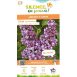 Lilas commun Belle de Nancy 100cm de Plantes Silence ça pousse dans Arbustes caducs en livraison