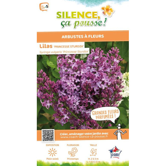 Lilas commun Princesse Sturdza 100cm de Plantes Silence ça pousse dans Arbustes caducs en livraison