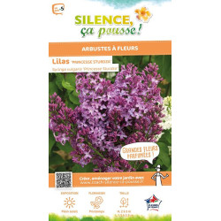Lilas commun Princesse Sturdza 100cm de Plantes Silence ça pousse dans Arbustes caducs en livraison