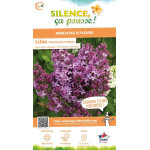 Lilas commun Princesse Sturdza 100cm de Plantes Silence ça pousse dans Arbustes caducs en livraison