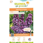Lilas commun KINDY ROSE 100cm Silence ca pousse de Plantes Silence ça pousse dans Arbustes caducs en livraison