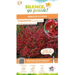 CHAENOMELES SP,RUBRA C4,5 TF/BU 3TU de Plantes Silence ça pousse dans Arbustes caducs en livraison