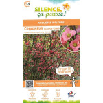 Cognassier du Japon Eximia 100cm de Plantes Silence ça pousse dans Arbustes caducs en livraison