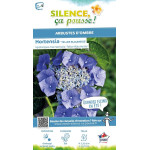 HORTENSIA TELLER BLAUMEISE C10 10BR + de Plantes Silence ça pousse dans Plantes à petits fruits (kiwi, myrtilles, groseilles,...