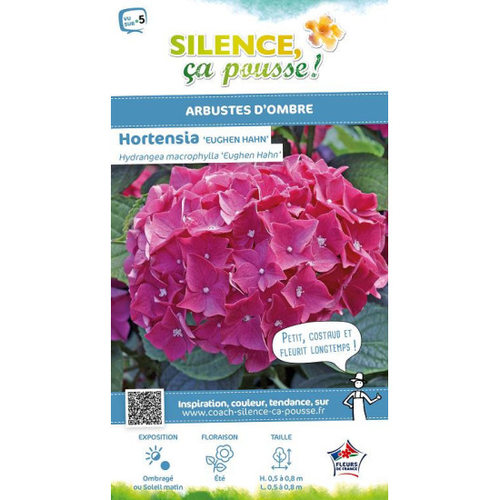 Hortensia Eughen Hahn 85cm Silence ca pousse de Plantes Silence ça pousse dans Plantes à petits fruits (kiwi, myrtilles, gros...