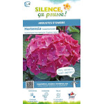 Hortensia Eughen Hahn 85cm Silence ca pousse de Plantes Silence ça pousse dans Plantes à petits fruits (kiwi, myrtilles, gros...