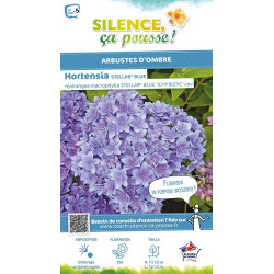 HORTENSIA STELLAR BLEU C10 10BR + de Plantes Silence ça pousse dans Plantes à petits fruits (kiwi, myrtilles, groseilles, cas...