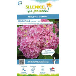 HORTENSIA STELLAR ROSE C10 10BR + de Plantes Silence ça pousse dans Plantes à petits fruits (kiwi, myrtilles, groseilles, cas...