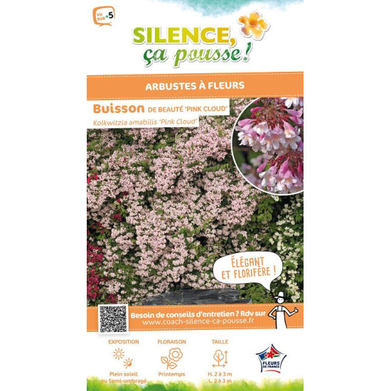 KOLKWITZIA AMAB,PINK CLOUD C4,5 TF 1TU de Plantes Silence ça pousse dans Arbustes caducs en livraison