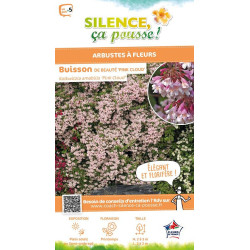 KOLKWITZIA AMAB,PINK CLOUD C4,5 TF 1TU de Plantes Silence ça pousse dans Arbustes caducs en livraison