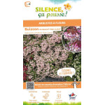 KOLKWITZIA AMAB,PINK CLOUD C4,5 TF 1TU de Plantes Silence ça pousse dans Arbustes caducs en livraison
