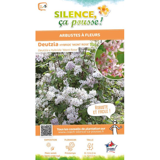 Deutzia hybride Mont Rose 100cm de Plantes Silence ça pousse dans Arbustes caducs en livraison