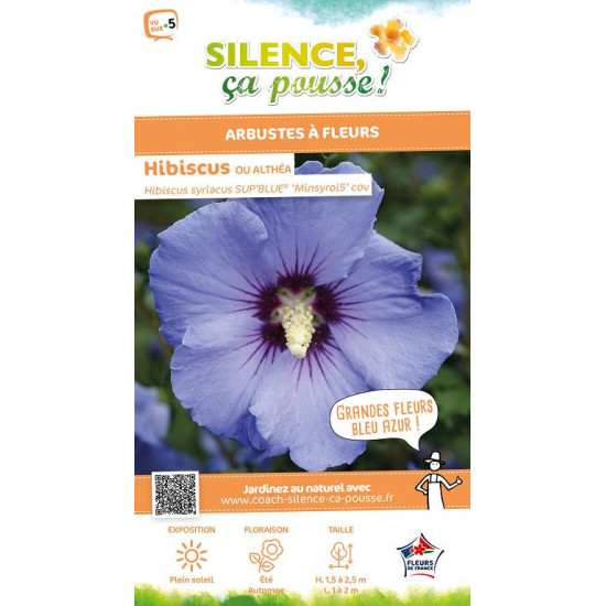 HIBISCUS SY,SUPBLUE C4,5 TF/BU de Plantes Silence ça pousse dans Arbustes caducs en livraison