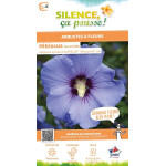 HIBISCUS SY,SUPBLUE C4,5 TF/BU de Plantes Silence ça pousse dans Arbustes caducs en livraison