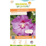 Hibiscus ERUPTION, Althea 100cm de Plantes Silence ça pousse dans Arbustes caducs en livraison