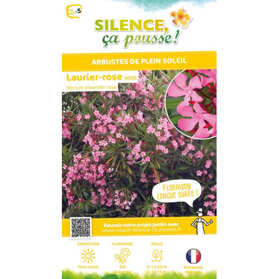 Laurier-rose a fleurs roses 80cm de Plantes Silence ça pousse dans Plantes à petits fruits (kiwi, myrtilles, groseilles, cass...