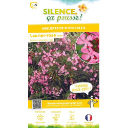 Laurier-rose a fleurs roses 80cm de Plantes Silence ça pousse dans Plantes à petits fruits (kiwi, myrtilles, groseilles, cass...