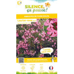 Laurier-rose a fleurs roses 80cm de Plantes Silence ça pousse dans Plantes à petits fruits (kiwi, myrtilles, groseilles, cass...