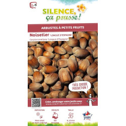 NOISETIER LONGUE DESPAGNE C4,5 TF/BU de Plantes Silence ça pousse dans Plantes à petits fruits (kiwi, myrtilles, groseilles, ...