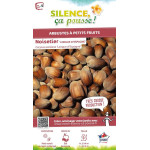 NOISETIER LONGUE DESPAGNE C4,5 TF/BU de Plantes Silence ça pousse dans Plantes à petits fruits (kiwi, myrtilles, groseilles, ...