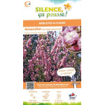 Amandier de Chine Multiplex 80cm de Plantes Silence ça pousse dans Arbres d'ornement en livraison