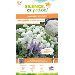 Hortensia arbustif Annabelle 80cm de Plantes Silence ça pousse dans Arbustes caducs en livraison