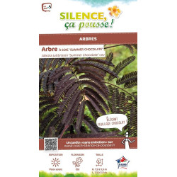 Arbre soie Summer Chocolate Constantinople 80 de Plantes Silence ça pousse dans Arbres d'ornement en livraison