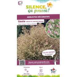 SALIX INTEGR,HAKURO NISHIKI C10 TF/BU de Plantes Silence ça pousse dans Arbustes caducs en livraison