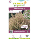 SALIX INTEGR,HAKURO NISHIKI C10 TF/BU de Plantes Silence ça pousse dans Arbustes caducs en livraison