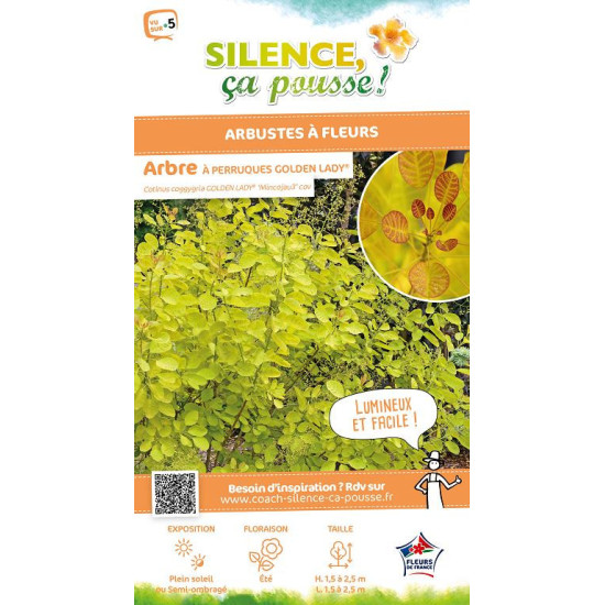 COTINUS COG,GOLDEN LADY C10 TF/BU de Plantes Silence ça pousse dans Arbustes caducs en livraison