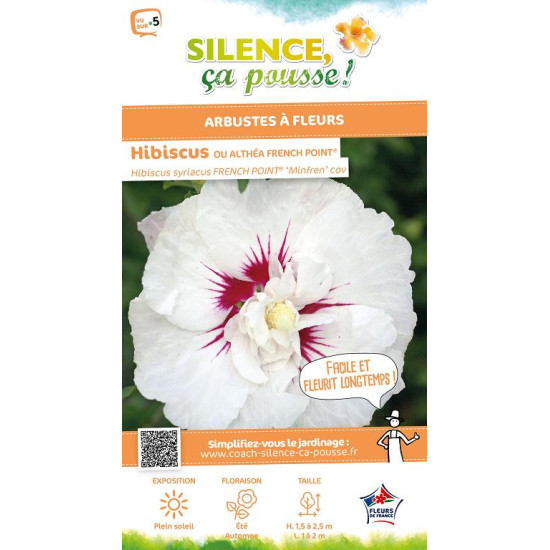 HIBISCUS SY,FRENCH POINT C4,5 TF/BU de Plantes Silence ça pousse dans Arbustes caducs en livraison