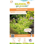 Spiree du Japon ZENSPIRIT GOLD 80cm de Plantes Silence ça pousse dans Arbustes caducs en livraison